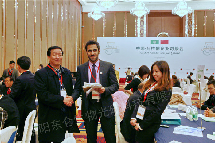 ꖖ|̼Ƽ޹˾L(yng)ӵаQ(mo)״M(jn)(hu)