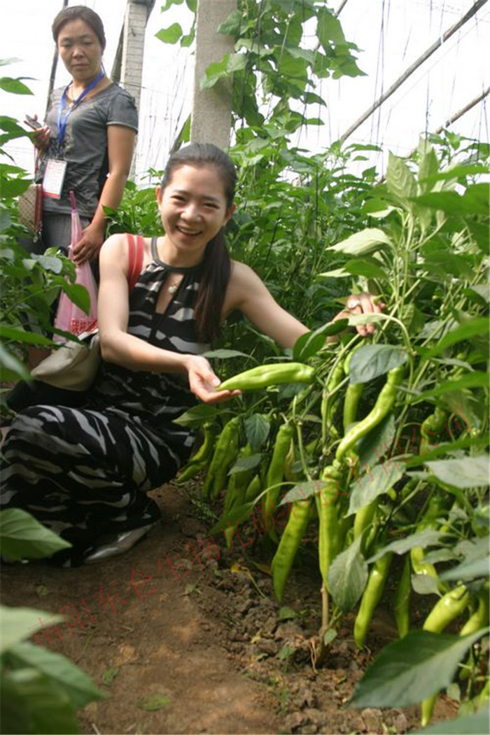 ЇLՄ˳̽ܵɽ|۹Ĺ̼˷߲ʾزL