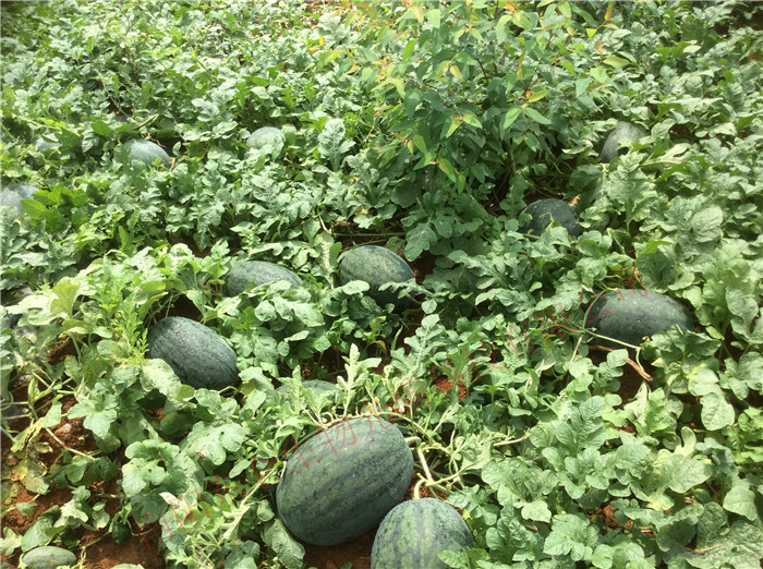 VMhù̼˷ʷNһʮϣ(chung)147߮a(chn)