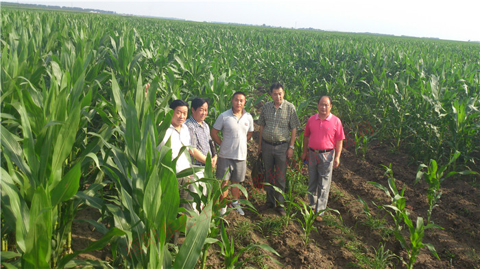 ʡIн^(q)r(nng)I(y)g(sh)ƏVĹ̼׿лʾ(sh)(yn)Ĺ̼ףѽ(jng)ʩ̼˷3μs1000LͦRϵl(f)_(d)߶ȳ^֮һA(y)a(chn)(sh)(yn)ع̼a(chn)