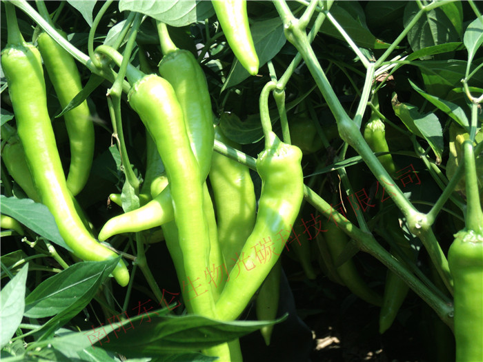 зǿhw(zhn)RfΠƤƷ|ãa