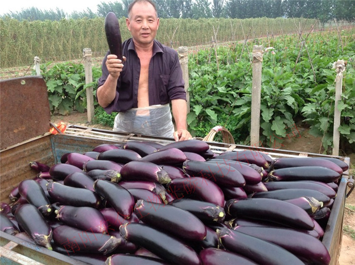 ɽ|۹߲˻ʩù̼˷ʺa(chung)vʷ